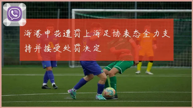 海港申花遭罚上海足协表态全力支持并接受处罚决定