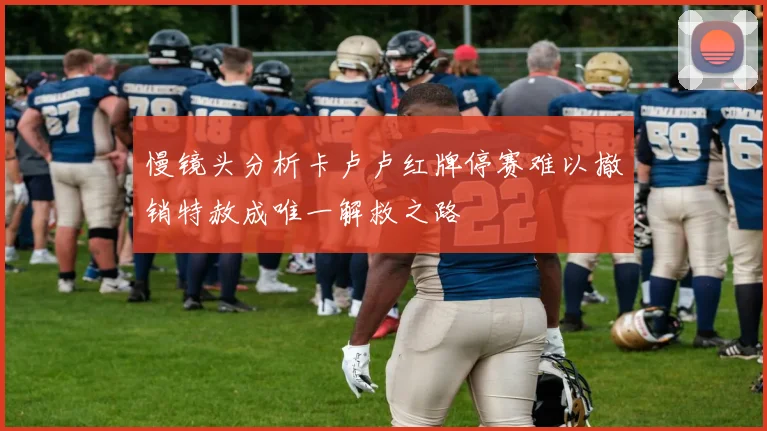 慢镜头分析卡卢卢红牌停赛难以撤销特赦成唯一解救之路