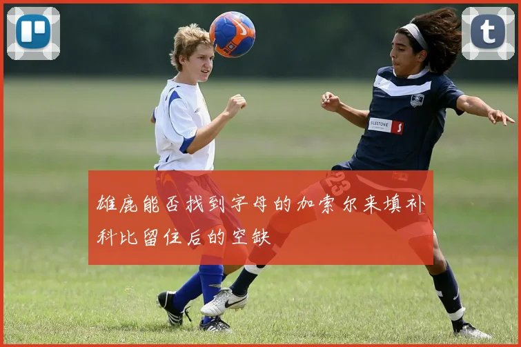 雄鹿能否找到字母的加索尔来填补科比留住后的空缺