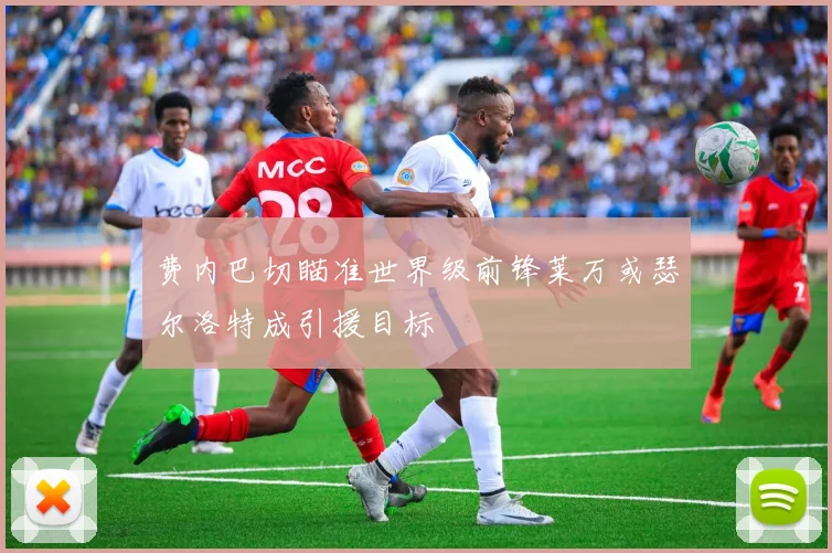 费内巴切瞄准世界级前锋莱万或瑟尔洛特成引援目标