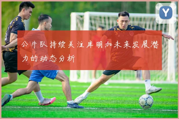 公牛队持续关注库明加未来发展潜力的动态分析