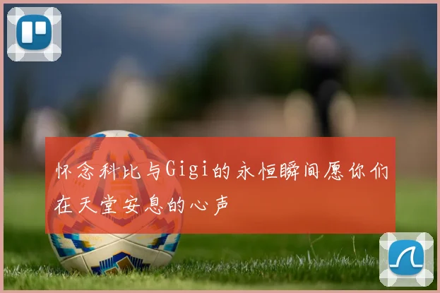 怀念科比与Gigi的永恒瞬间愿你们在天堂安息的心声