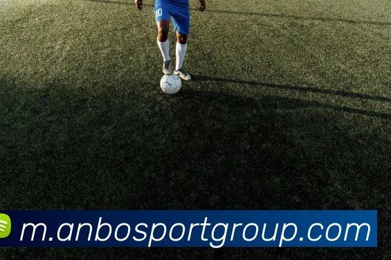 安博体育平台生态图