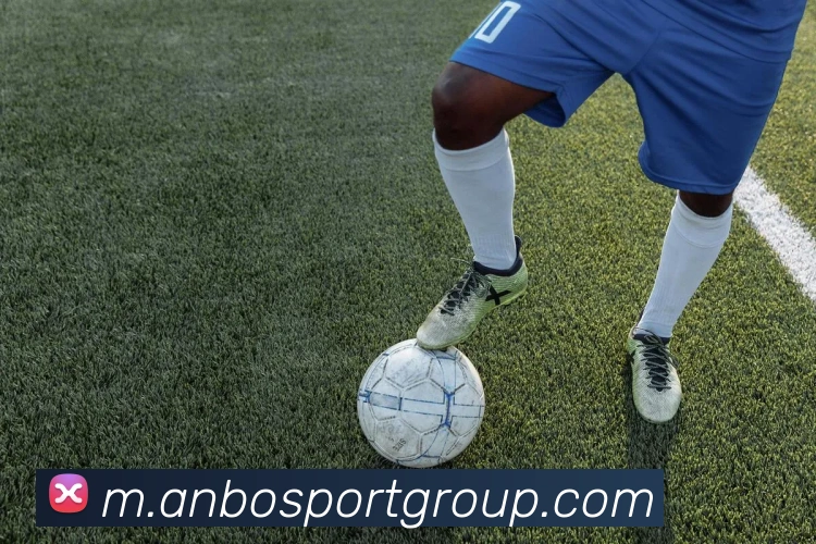 安博体育APP 封面图